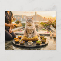 Kat bij dakterrataromatherapie