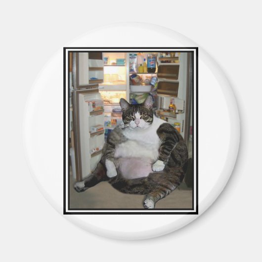 KAT BIJ DE KOELKAST MAGNEET (Voorkant)