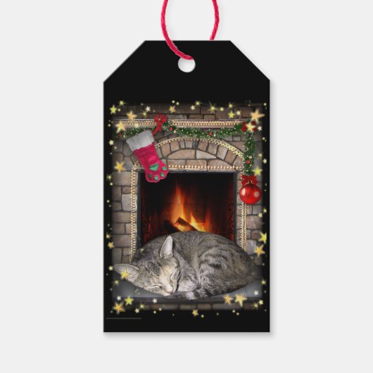 Kat bij Fireplace Cadeaulabel (Voorkant)