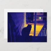 Kat bij nacht in het Briefkaart van de Oude Buurt (Voorkant / Achterkant)