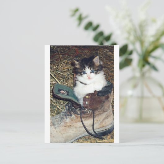 Kat bij opstarten briefkaart (Staand voorkant)