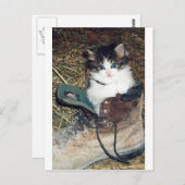 Kat bij opstarten briefkaart (Voorkant / Achterkant)