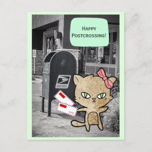 Kat bij postkruising Briefkaart postbus