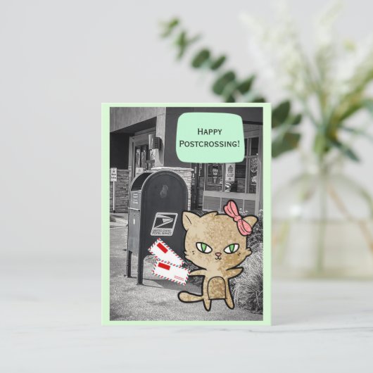 Kat bij postkruising Briefkaart postbus (Staand voorkant)
