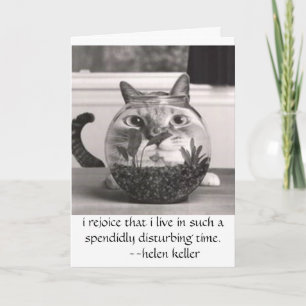 kat bij vissenkom, verheug ik me dat ik in… tijden kaart