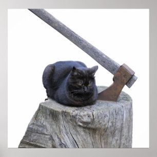 kat , bijl en leven poster