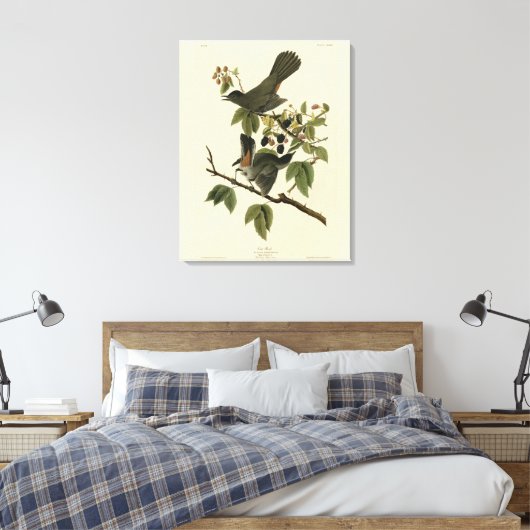 Kat Bird (Gray Catbird) Audubon's Birds of America Canvas Afdruk (Insitu (Slaapkamer))