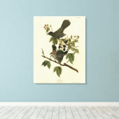 Kat Bird (Gray Catbird) Audubon's Birds of America Canvas Afdruk (Insitu (Houten vloer))