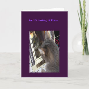 Kat Birthday Card voor haar Kaart