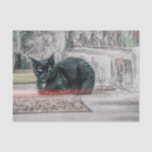 Kat Black Cute  Antiek oude stijl Art