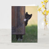 Kat blanco kaart - condoleance, dank je, verjaarda (Gele Bloem)