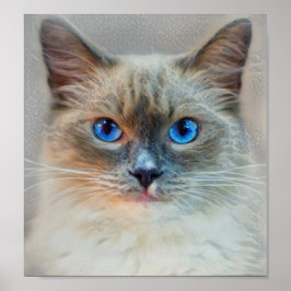Kat-blauwe ogen van Siamese Poster