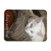 Kat Bling Fotomagneet Magneet (Horizontaal)
