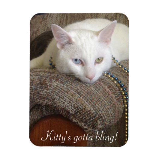 Kat Bling Fotomagneet Magneet (Verticaal)