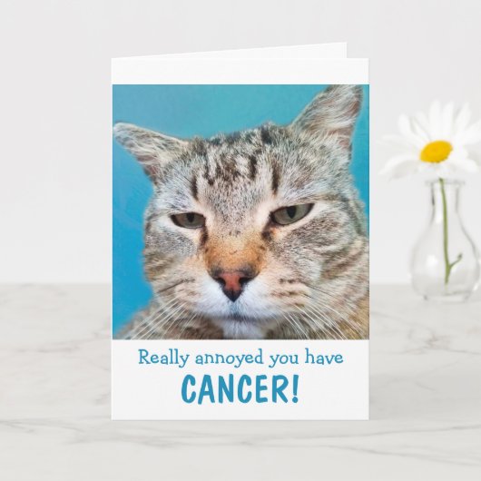 Kat boos op kanker grappig kaart (Kleine Plant)
