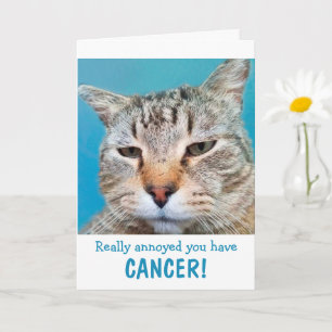 Kat boos op kanker grappig kaart