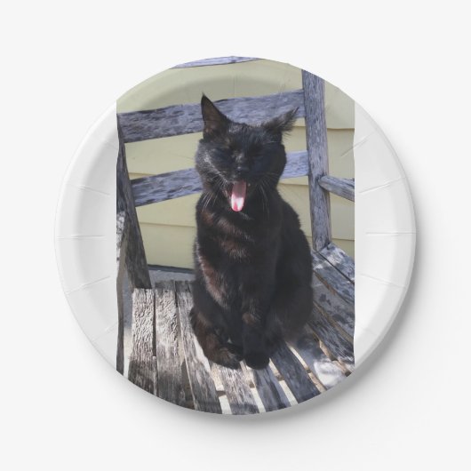 Kat-bord Papieren Bordje (Voorkant)