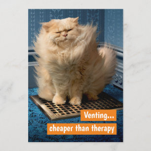 Kat boven gort kaart