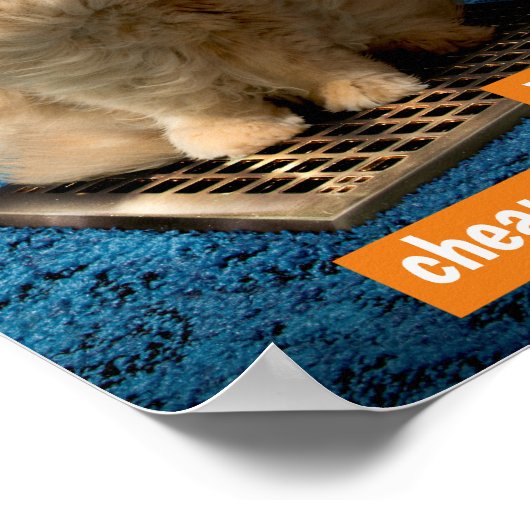 Kat boven gort poster (Hoek)