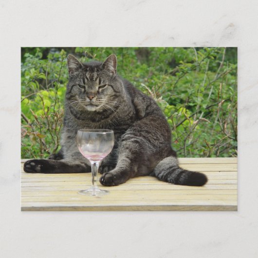 Kat 'Bram' op tafel met een wijnglas Briefkaart (Voorkant)