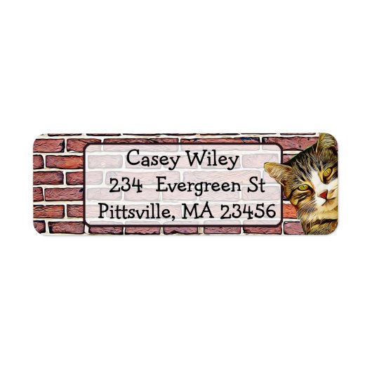 Kat Brick Wandachtergrondlabel Etiket (Voorkant)