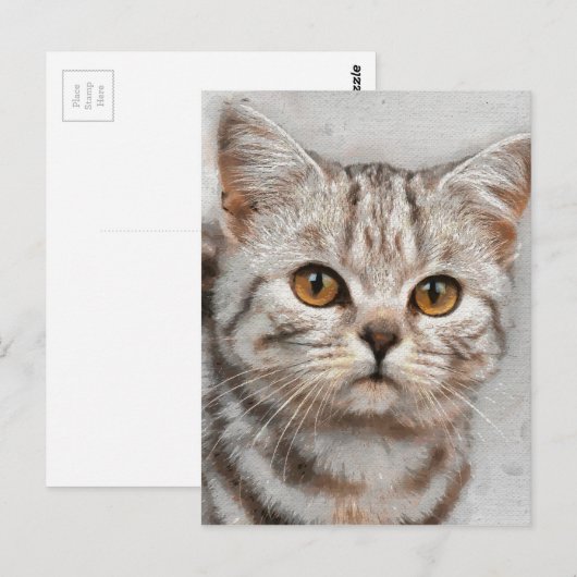 kat briefkaart (Voorkant / Achterkant)