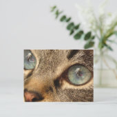 kat briefkaart (Staand voorkant)