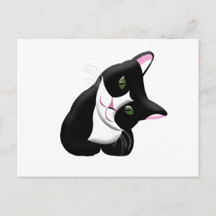 Kat Briefkaart