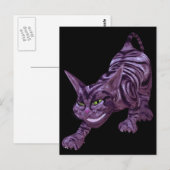 kat briefkaart (Voorkant / Achterkant)