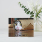 Kat Briefkaart (Staand voorkant)