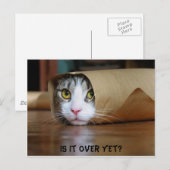 Kat Briefkaart (Voorkant / Achterkant)