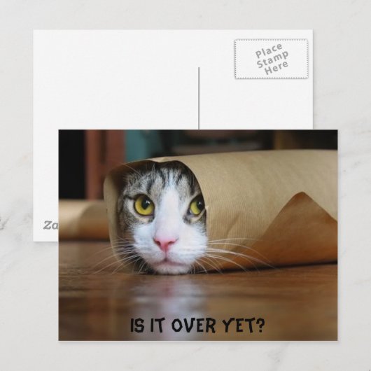 Kat Briefkaart (Voorkant / Achterkant)