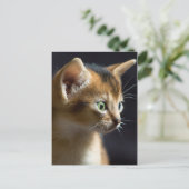 kat briefkaart (Staand voorkant)