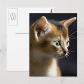 kat briefkaart (Voorkant / Achterkant)