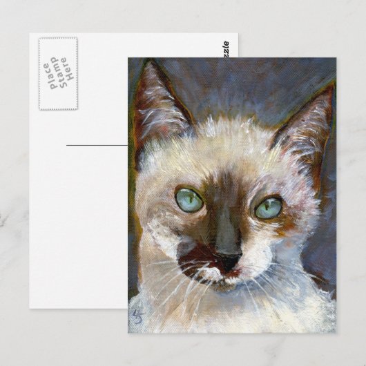 Kat Briefkaart (Voorkant / Achterkant)