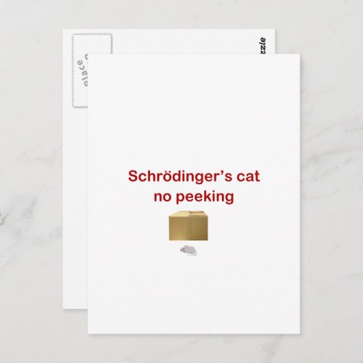 kat briefkaart (Voorkant / Achterkant)