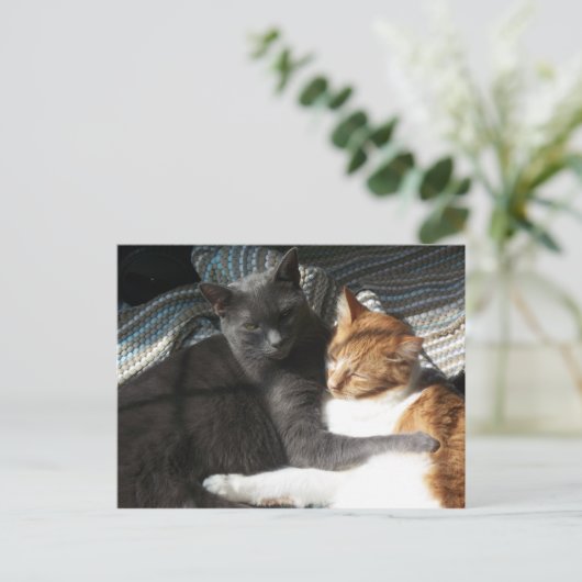 Kat Briefkaart (Staand voorkant)