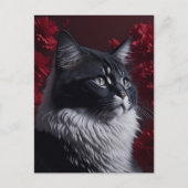 kat briefkaart (Voorkant)