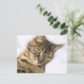 Kat Briefkaart (Staand voorkant)