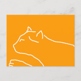 Kat briefkaart