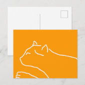 Kat briefkaart (Voorkant / Achterkant)