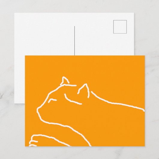 Kat briefkaart (Voorkant / Achterkant)