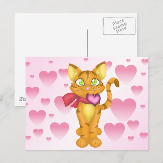 Kat Briefkaart (Voorkant / Achterkant)