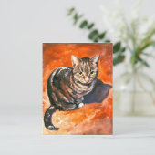 Kat Briefkaart (Staand voorkant)