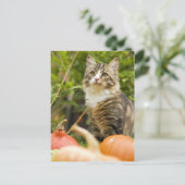 Kat Briefkaart (Staand voorkant)