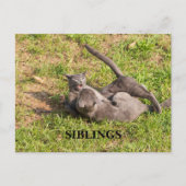 Kat Briefkaart (Voorkant)