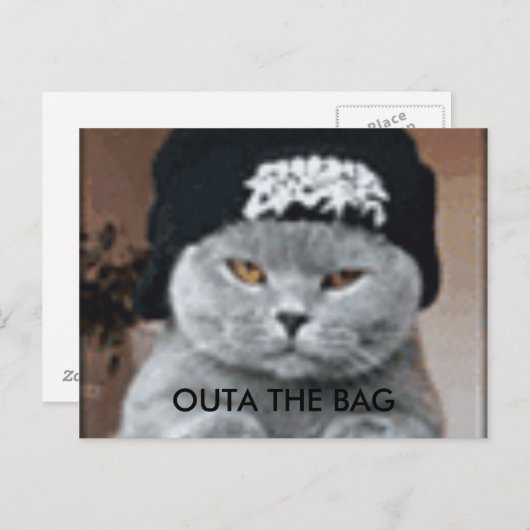 KAT BRIEFKAART (Voorkant / Achterkant)