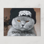 KAT BRIEFKAART (Voorkant)