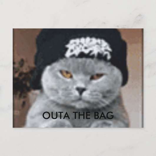 KAT BRIEFKAART (Voorkant)