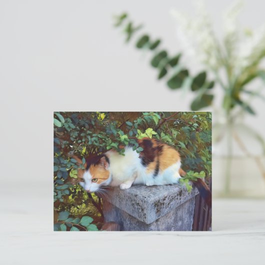 Kat Briefkaart (Staand voorkant)